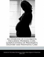 An Overview of Childbirth, Including Prenatal Care, Complications of Pregnancy, Delivery and Postnatal Care di Victoria Hockfield edito da WEBSTER S DIGITAL SERV S