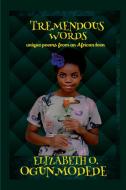 TREMENDOUS WORDS di Elizabeth O. Ogunmodede edito da Lulu.com