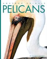 Pelicans di Valerie Bodden edito da CREATIVE CO