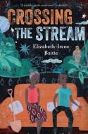 Crossing the Stream di Elizabeth-Irene Baitie edito da NORTON YOUNG READERS