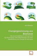 Energiegewinnung aus Biomasse di Maik Wolfkühler edito da VDM Verlag