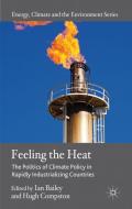 Feeling the Heat di Ian Bailey edito da Palgrave Macmillan