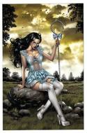 Grimm Fairy Tales: Different Seasons Volume 1 di Joe Brusha, Ralph Tedesco, Raven Gregory edito da Zenescope Entertainment