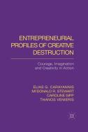 Entrepreneurial Profiles of Creative Destruction di E. Carayannis, C. Sipp, M. Stewart, T. Venieris edito da Palgrave Macmillan UK