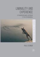 Liminality and Experience di Paul Stenner edito da Palgrave Macmillan UK