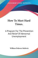 How To Meet Hard Times.: A Program For The Prevention And Relief Of Abnormal Unemployment di William Delavan Baldwin edito da Kessinger Publishing, Llc