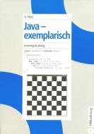 Java - exemplarisch di Ägidius Plüss edito da De Gruyter Oldenbourg