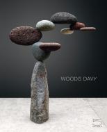 Woods Davy: Sculptures edito da 5 CONTINENTS ED