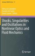 Shocks, Singularities and Oscillations in Nonlinear Optics and Fluid Mechanics edito da Springer International Publishing