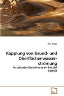 Kopplung von Grund- und Oberflächenwasserströmung di Paul Meyer edito da VDM Verlag