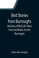 Bird Stories from Burroughs; Sketches of Bird Life Taken from the Works of John Burroughs di John Burroughs edito da Alpha Editions