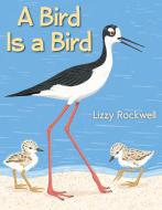 A Bird Is a Bird di Lizzy Rockwell edito da HOLIDAY HOUSE INC