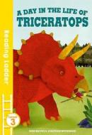 A day in the life of Triceratops di Susie Brooks edito da Egmont UK Ltd