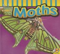 Moths di Aaron Carr edito da AV2 BY WEIGL