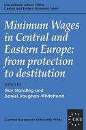 Minimum Wages in Central and Eastern Europe di Guy Standing edito da Central European University Press