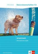 PRISMA Naturwissenschaften 5/6. Arbeitsheft Klasse 5/6. Differenzierende Ausgabe Berlin/Brandenburg edito da Klett Ernst /Schulbuch