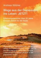 Wege Aus Der Depression Ins Leben: Jetzt ! di Andreas Wildner edito da Tredition Gmbh