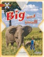 Project X: Big And Small: Big And Small di Alex Lane edito da Oxford University Press