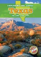 Texas: The Lone Star State di Kristin Schuetz edito da BELLWETHER MEDIA