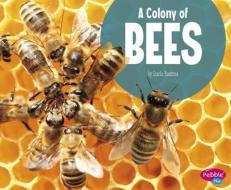 A Colony of Bees di Lucia Tarbox Raatma edito da PEBBLE BOOKS