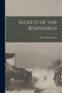 Secrets of the Bosphorus di Henry Morgenthau edito da LEGARE STREET PR