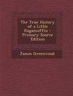 The True History of a Little Ragamuffin di James Greenwood edito da Nabu Press