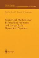 Numerical Methods for Bifurcation Problems and Large-Scale Dynamical Systems edito da Springer New York