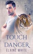 A Touch of Danger di Elaine White edito da NineStar Press, LLC