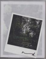 Darren Almond: The Giverny Polaroids di Darren Almond edito da Snoeck Verlagsges.