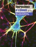 Neuroscience At A Glance di Roger A. Barker, Stephen Barasi edito da John Wiley And Sons Ltd