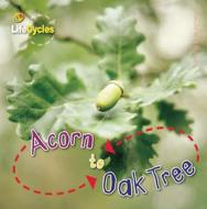 Acorn to Oak Tree di Camilla de La Bedoyere edito da QEB Publishing