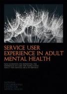 Firesetting And Mental Health di Sample Name edito da Royal College Of Psychiatrists