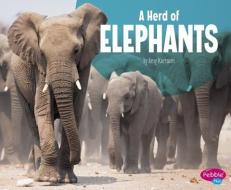 A Herd of Elephants di Amy Kortuem edito da PEBBLE BOOKS
