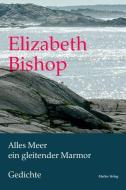 Alles Meer ein gleitender Marmor di Elizabeth Bishop edito da Mattes Verlag
