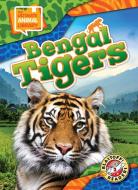 Bengal Tigers di Chris Bowman edito da Bellwether Media