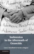 Srebrenica in the Aftermath of Genocide di Lara J. Nettelfield, Sarah E. Wagner edito da Cambridge University Press