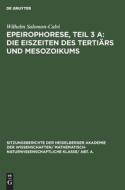 Die Eiszeiten Des Terti RS Und Mesozoikums: Aus: Epeirophorese, Teil 3 a di Wilhelm Salomon-Calvi edito da Walter de Gruyter