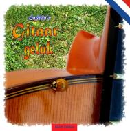 Lobito's Gitarrenglück - Dutch Edition di Lobito edito da Books on Demand