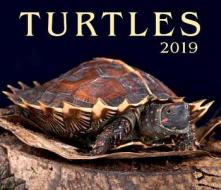 Turtles 2019 di Firefly Books edito da Firefly Books Ltd