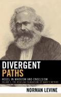 Divergent Paths di Norman Levine edito da Lexington Books
