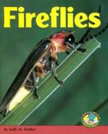 Fireflies di Sally M. Walker edito da Lerner Publications
