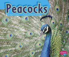 Peacocks di Amanda R. Robbins edito da CAPSTONE PR