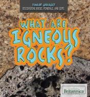 What Are Igneous Rocks? di Elisa Peters edito da Rosen Education Service