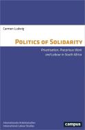 The Politics of Solidarity di Carmen Ludwig edito da Campus Verlag GmbH