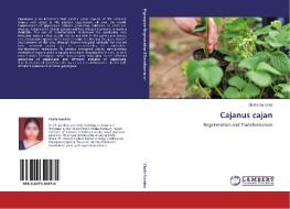 Cajanus cajan di Challa Surekha edito da LAP Lambert Academic Publishing