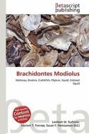 Brachidontes Modiolus edito da Betascript Publishing