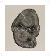 Woodcut di Bryan Nash Gill edito da Princeton Architectural Press