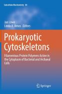 Prokaryotic Cytoskeletons edito da Springer International Publishing Ag
