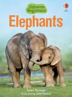 Elephants di James Maclaine edito da Usborne Publishing Ltd