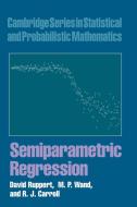 Semiparametric Regression di D. Ruppert, M. P. Wand, R. J. Carroll edito da Cambridge University Press